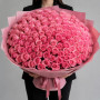 7 фиолетовых ирисов
