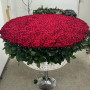 7 фиолетовых ирисов