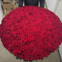 7 фиолетовых ирисов фото 2